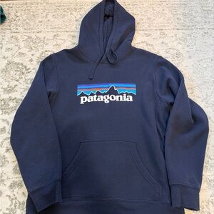 Patagonia Dark Blue Hoodie for Men